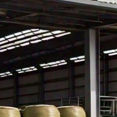 Screenshot_20240828_155636_WhatsApp